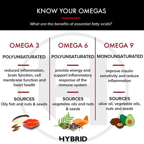 omega 800 vs omega 3